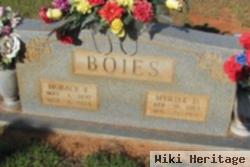 Horace Fields Boies