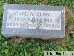 Carl A. Olson