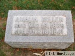 Amelia Miller