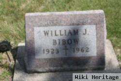 William Joseph Bibow