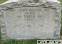 Mary J. Mchugh