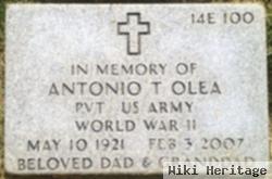 Antonio T Olea