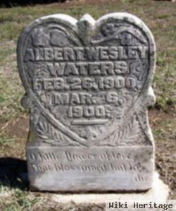 Albert Wesley Waters