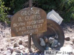 George Bert Curtis