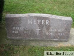 Harry G Meyer