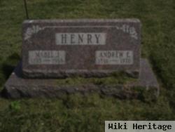 Andrew E. Henry