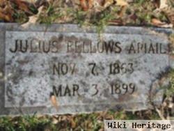 Julius Fellows Ariail