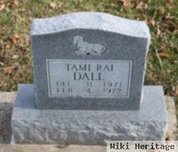 Tammy Rai Dall