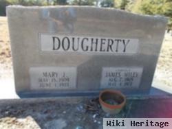 Mary Johnson Dougherty