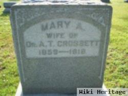 Mary Anne Crossett