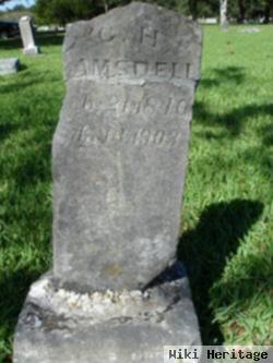 C. H. Amsdell