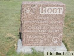 Dorus S Root