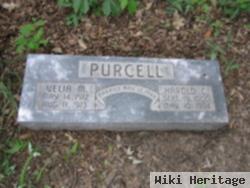 Velia M Purcell