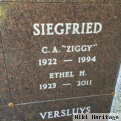 Clarence Alexander "ziggy" Siegfried, Jr