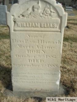 William Elias Adams