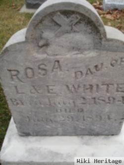 Rosa White