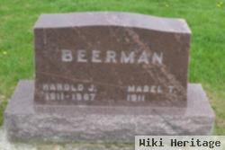 Harold J Beerman