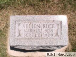 Arlien Rice