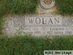 Raymond J Wolan