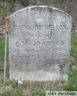 Caroline Nelson Johnson