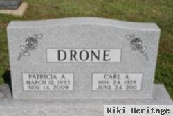 Patricia Ann "pat" Coles Drone