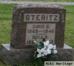 David G Steritz