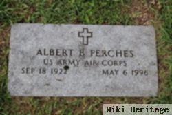 Albert B Perches