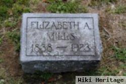 Elizabeth A. Mills