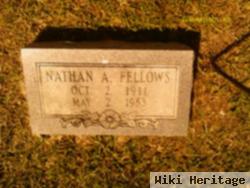 Nathan Arnold Fellows