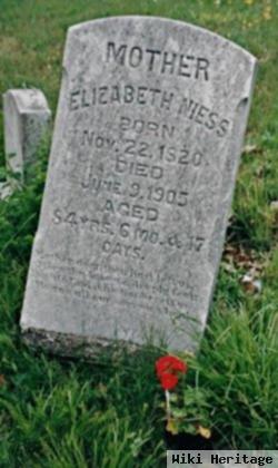 Elizabeth Hauenstein Niess