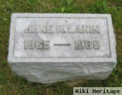 Jane M Lakin