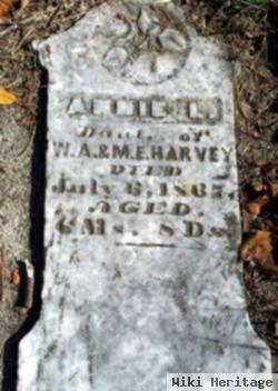 Annie L. Harvey