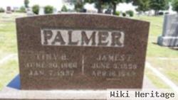 James E. Palmer