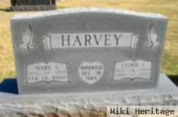 Mary L. Harvey