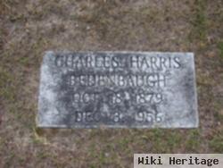 Charles Harris Bedenbaugh