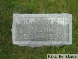 Sophia Busch Mohr