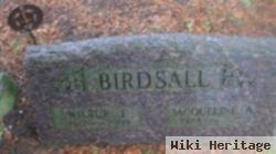 Wilbur J. Birdsall