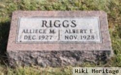 Albert E Riggs