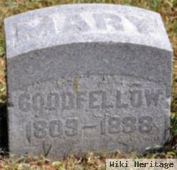 Mary E. Goodfellow