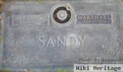 Herman Sandy