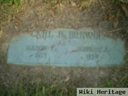 Carl E Brewer