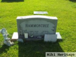 Perry Allen Hammontree