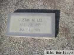 Gustav M Lee