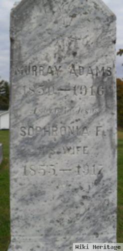 Murray Adams