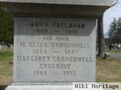 Mary Elizabeth "eliza" Croughwell Callahan