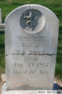 Sarah A Binck