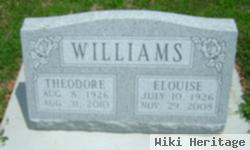 Theodore Williams