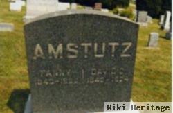 David C. Amstutz