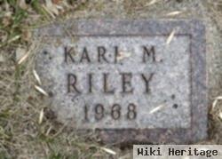 Kari M. Riley