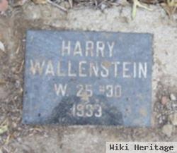 Harry Wallenstein